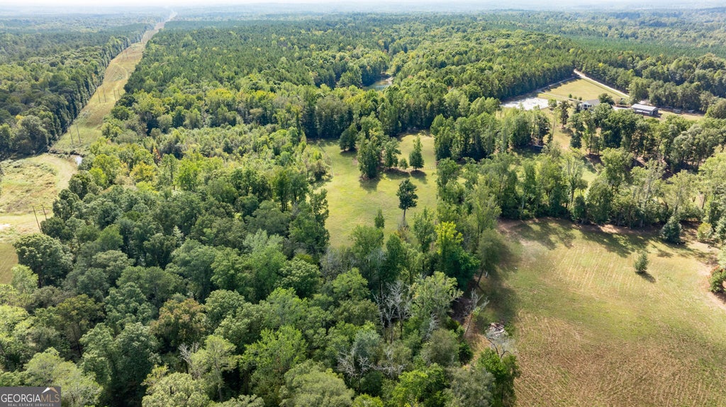 Photo of 1750 Bishop Road, Luthersville, GA 30251 (MLS # 10877985)