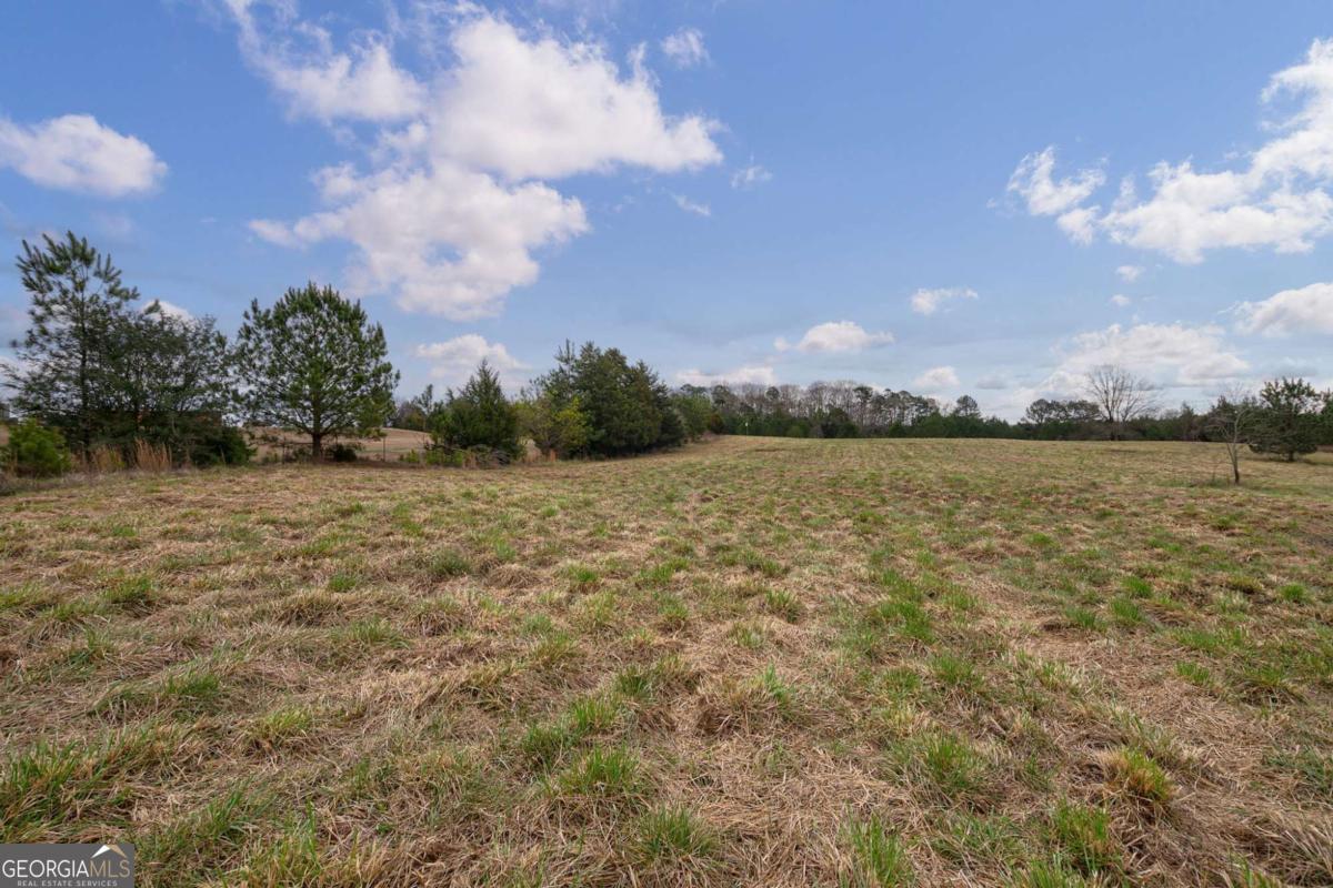 TRACT 1-A High Shoals RD