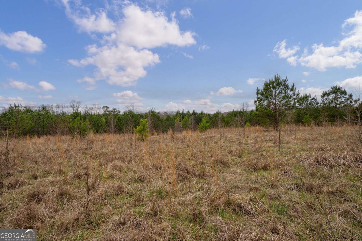 TRACT 1-A High Shoals RD
