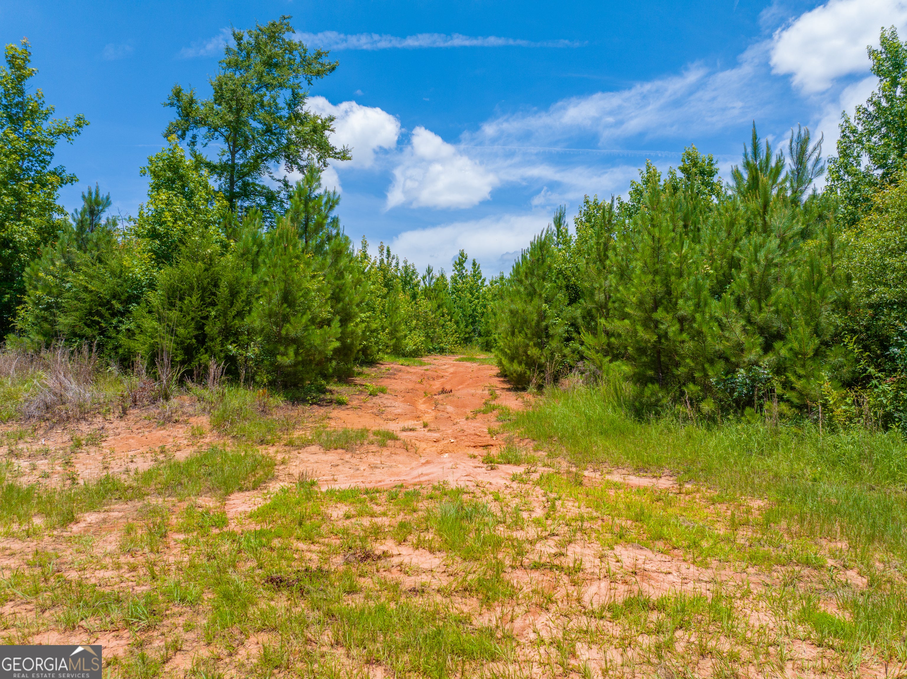 47.7 ACRES Cochran RD