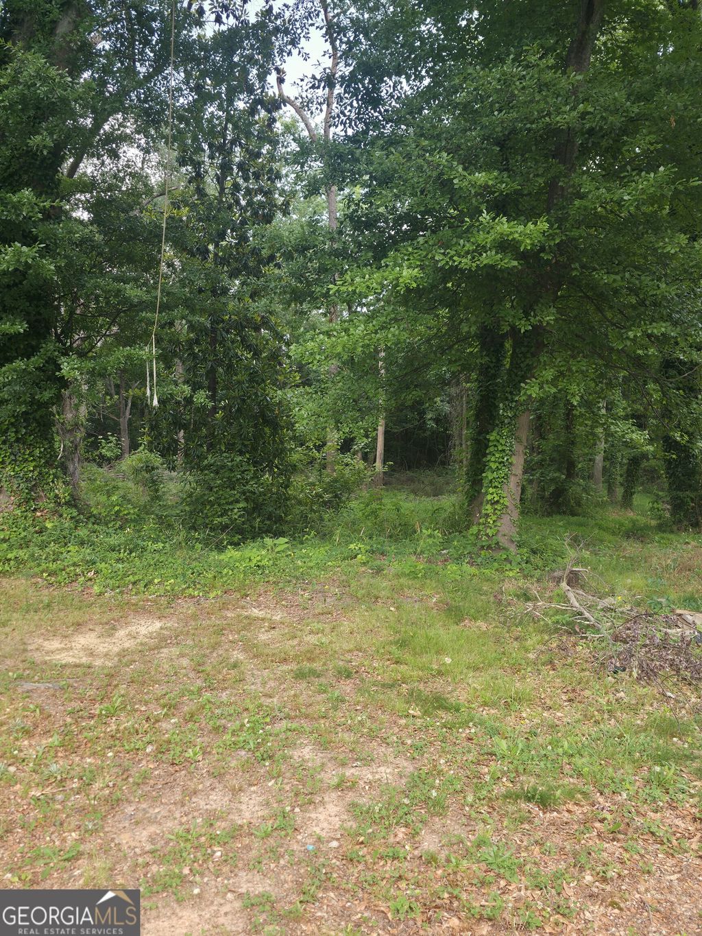 Photo of 0 Duke Street, Winder, GA 30680 (MLS # 10770208)