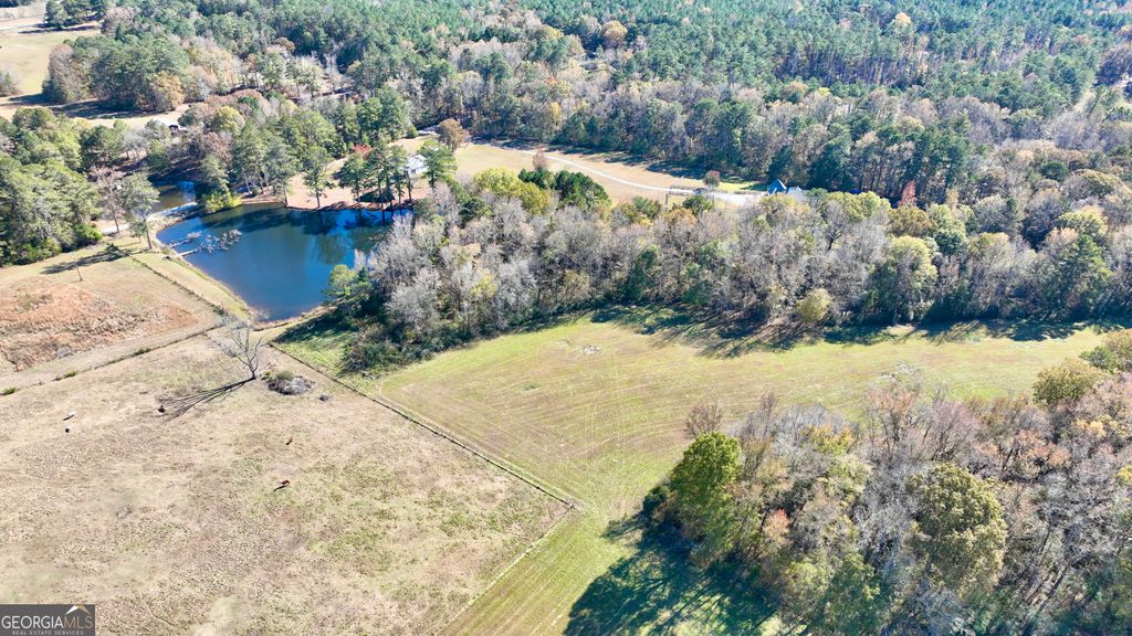 Photo of 8 Mask Road - Hanner's Farm South, Brooks, GA 30205 (MLS # 10766961)