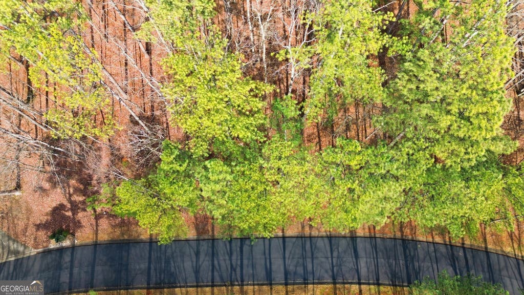 Photo of 765 Plum Lane #LOT 765, Clarkesville, GA 30523 (MLS # 10829657)