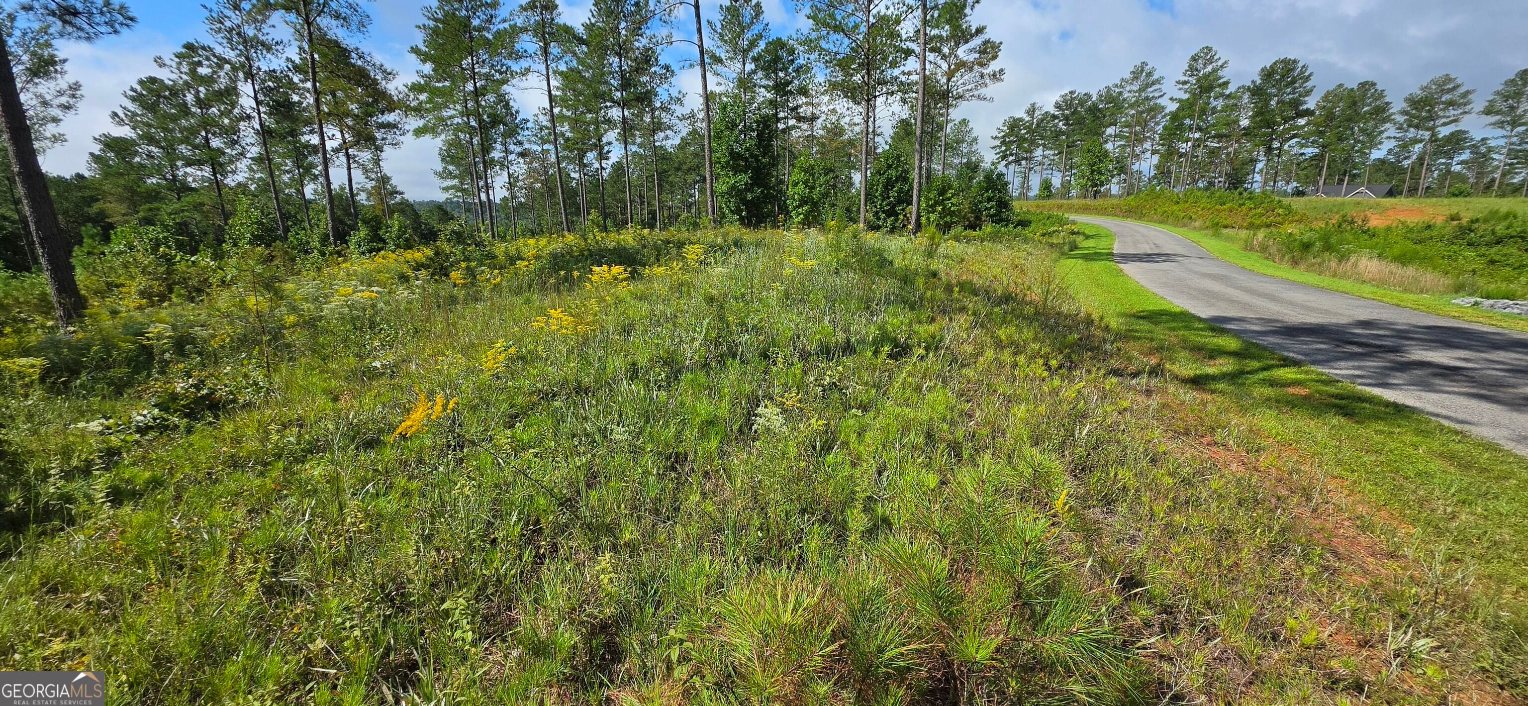 LOT 65 High River LNDG