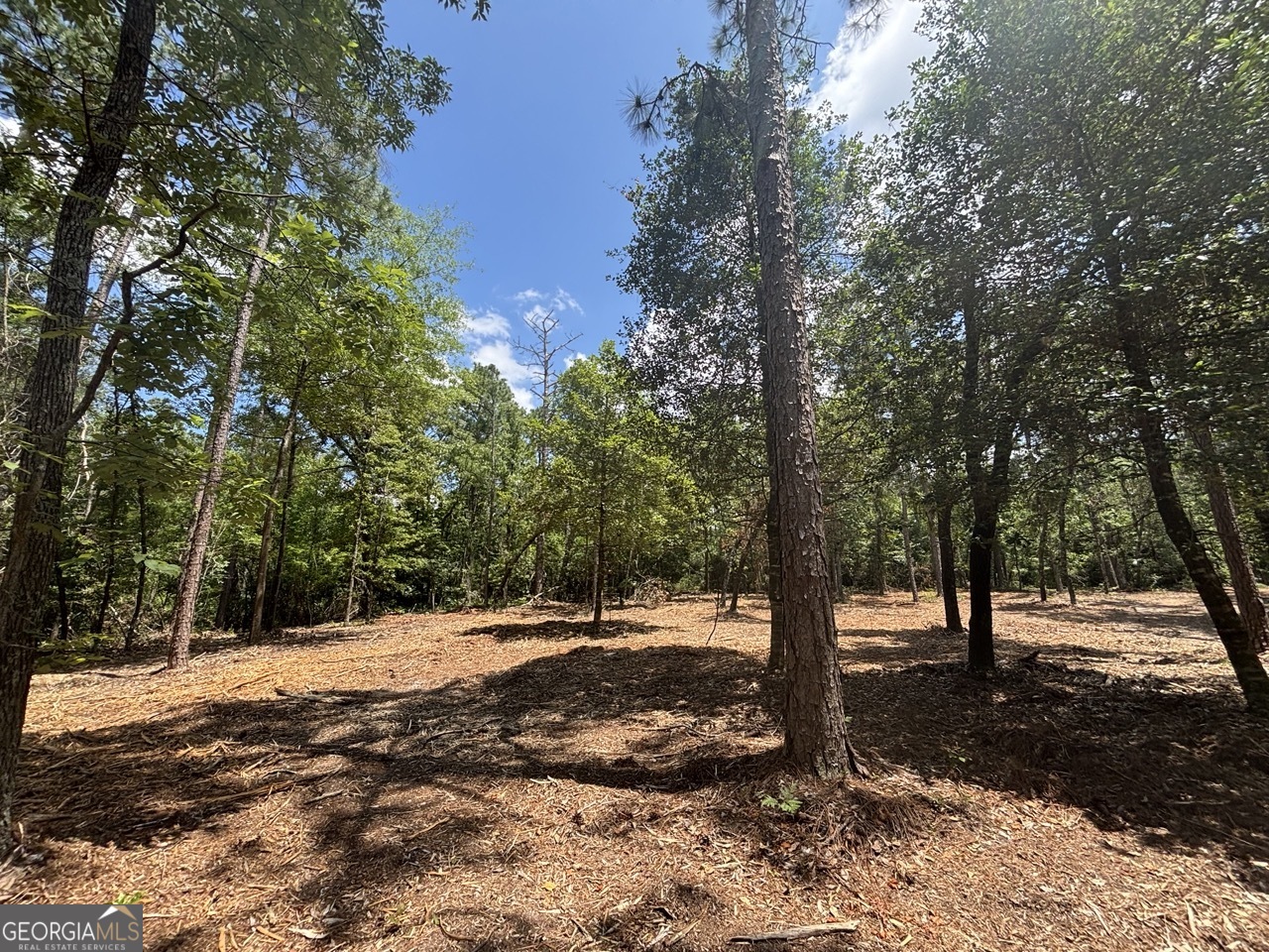 Great heavily wooded residential lot with acreage in Bibb county! This lot could be used for residential purposes or for a small hunting tract. Restrictions are: -No mobile homes, Modular or stick built allowed with a minimum of 1200 sq ft, No commercial animal operation. This is 1 of 3 lots available for purchase. Lot 1: 37.5 acres Lot 2: 27 acres Lot 3: 17 acres