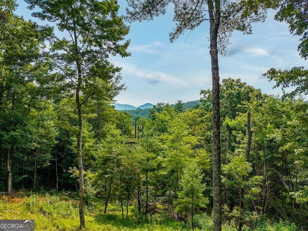 120 Bell Camp Ridge RD