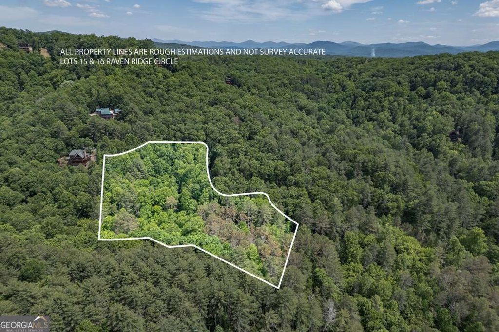 Photo of 1516 Raven Ridge Circle, Mineral Bluff, GA 30559 (MLS # 10769478)