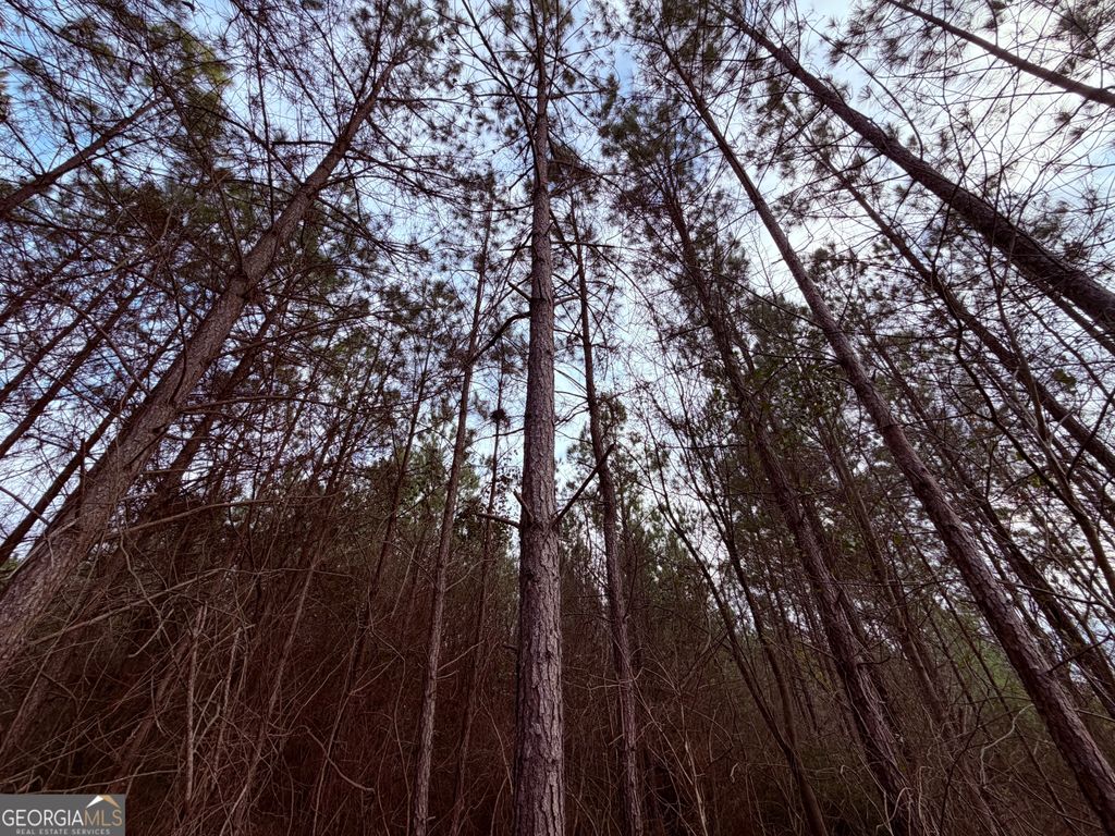 Photo of 0 Carr Station Road, Sparta, GA 31087 (MLS # 10726089)