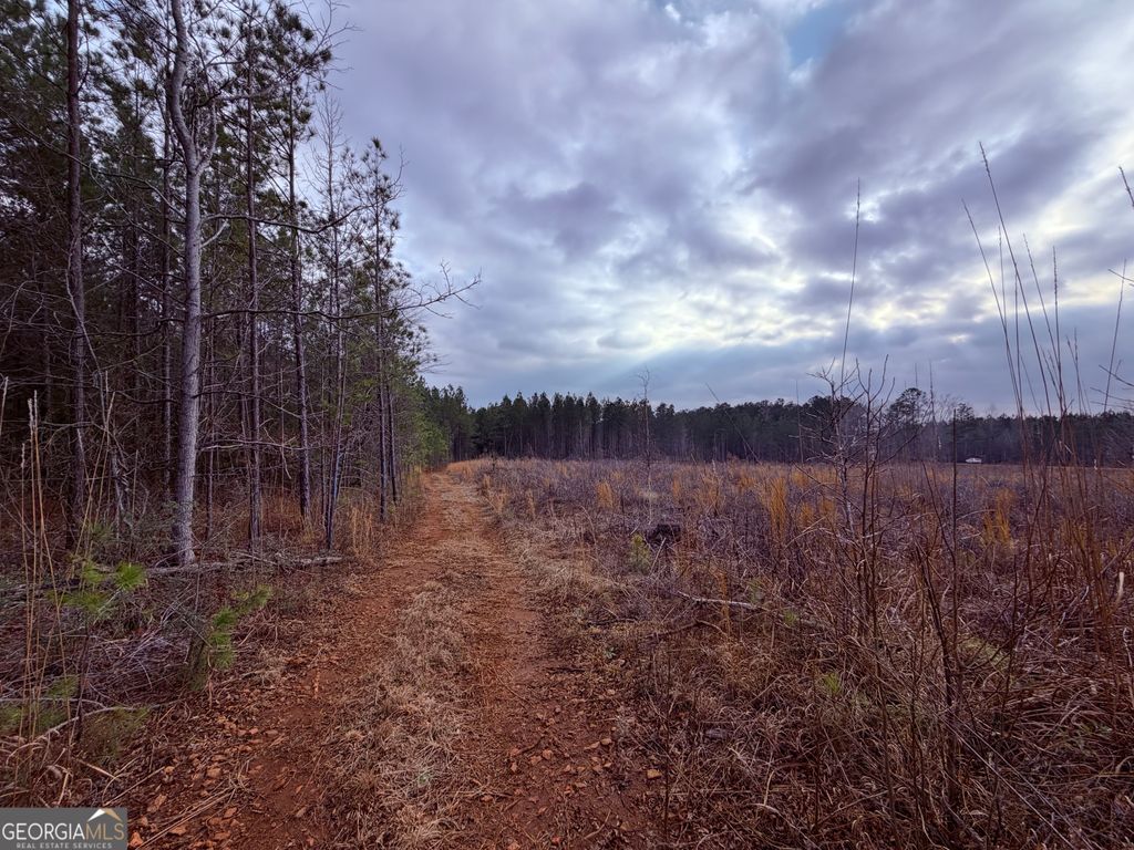 Photo of 0 Carr Station Road, Sparta, GA 31087 (MLS # 10726089)