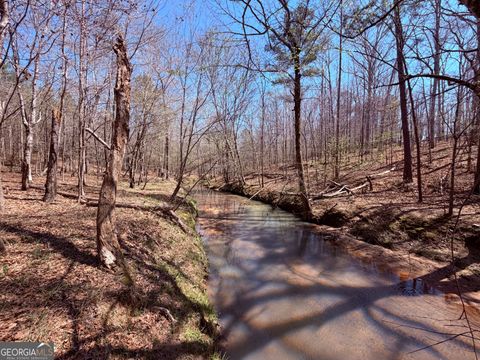 Photo of 0 Carr Station Road, Sparta, GA 31087 (MLS # 10726089)