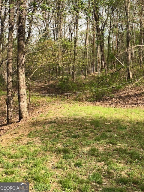 Experience the best of North Georgia living on this 5.84-acre private lot. Tucked away in a serene setting, this property features a small creek at the back and a private trail leading directly to Carters Lake. For even more outdoor enjoyment, you'll also have access to a 3.7 acre private pond with a scenic walking trail. Abundant wildlife to enjoy and minutes away from putting a boat in at Carters Lake. Whether you're looking to build your dream home, a peaceful getaway, or an investment property, this lot offers natural beauty, privacy, and convenience all in one. Rarely does a property combine such unique features with close proximity to Ellijay's charm and recreation. Don't miss the opportunity to own this one-of-a-kind slice of paradise!