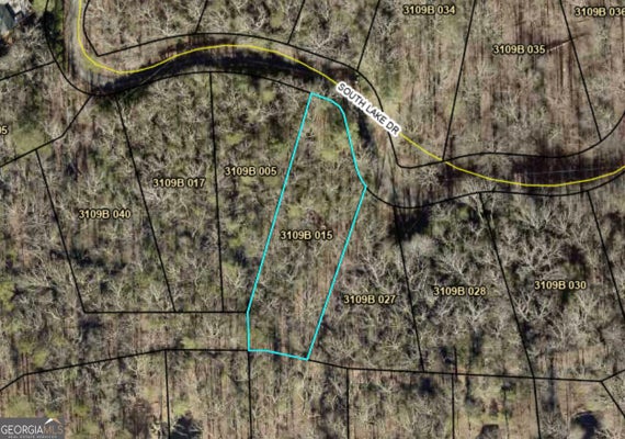 N LAKE DR, ELLIJAY, GA 30536 - Image 523375d4f8042e7565689b8a958c2f1a/1467695973