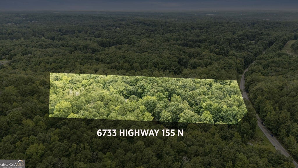 Photo of 6733 Hwy 155 N, Stockbridge, GA 30281 (MLS # 10822523)