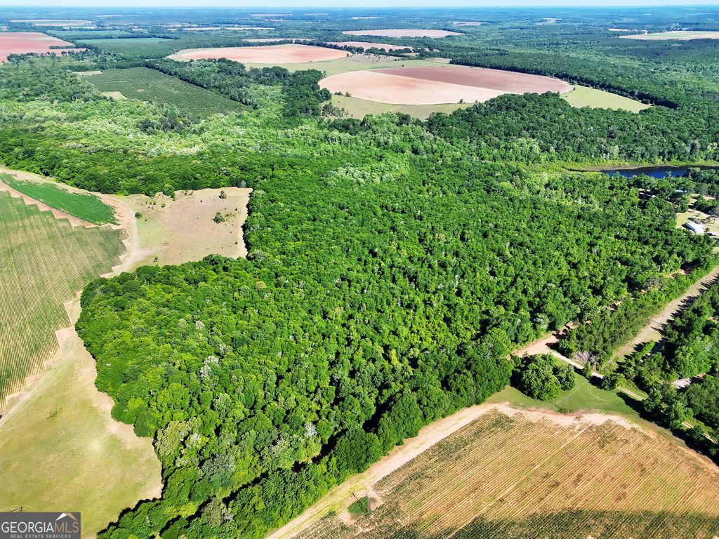 Photo of 2415 E US Hwy 82, Shellman, GA 39884 (MLS # 10765889)