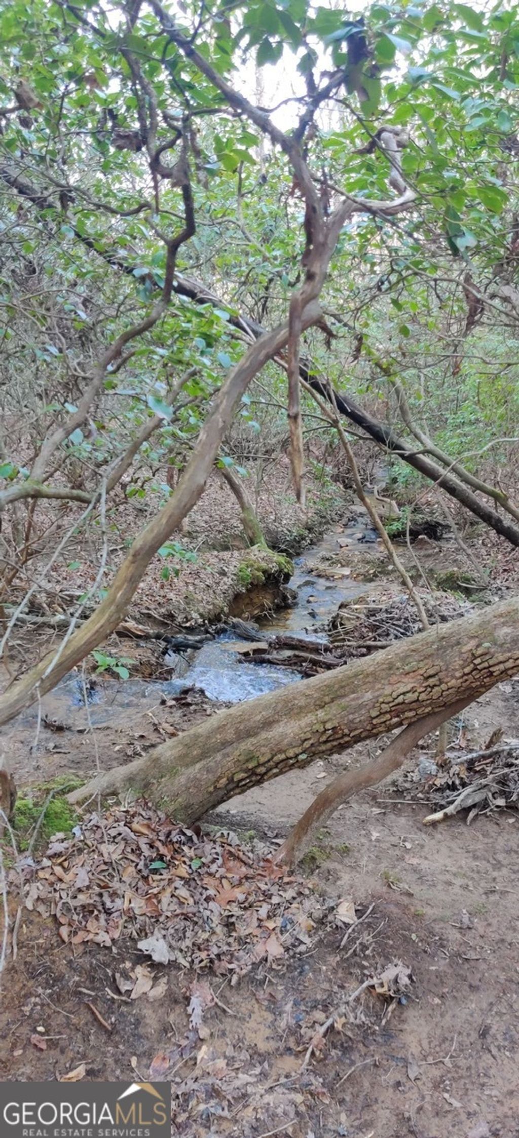 Photo of 10 Olivia Lane, Ball Ground, GA 30107 (MLS # 10705036)