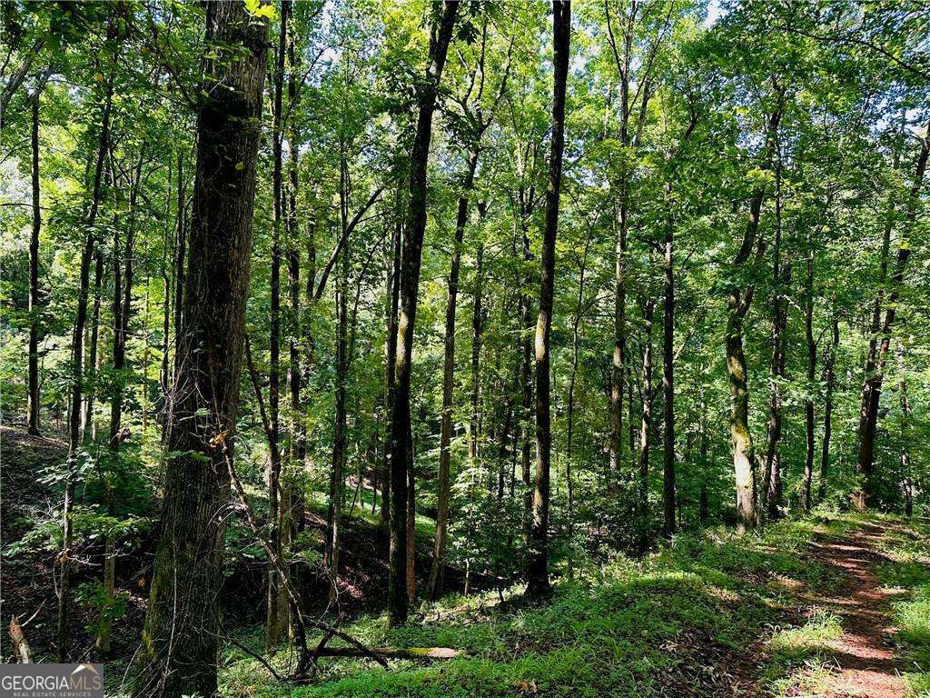7.123 Acres Halls Mill RD
