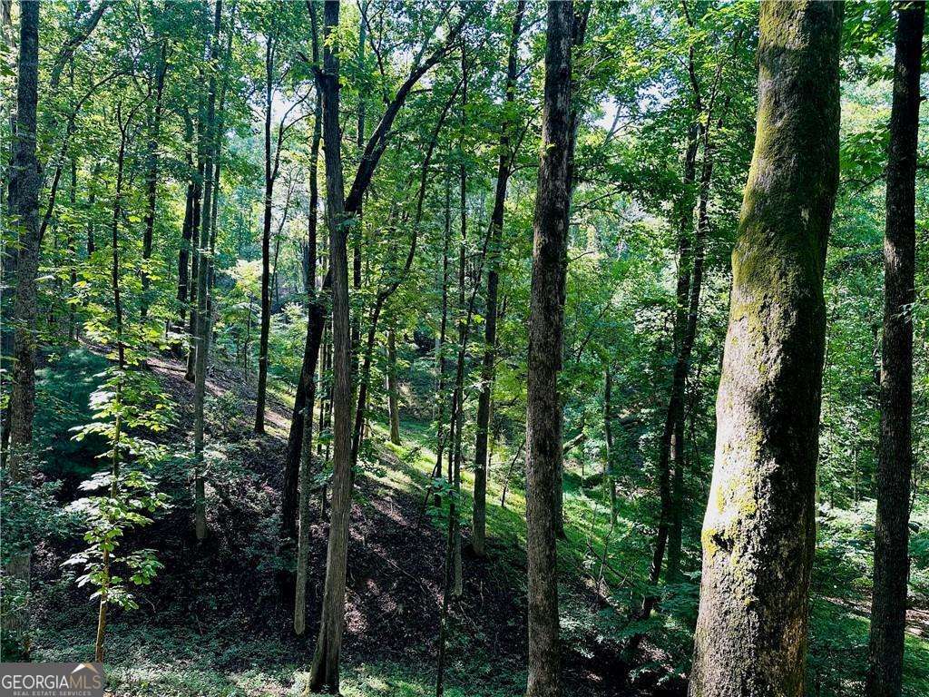 7.123 Acres Halls Mill RD