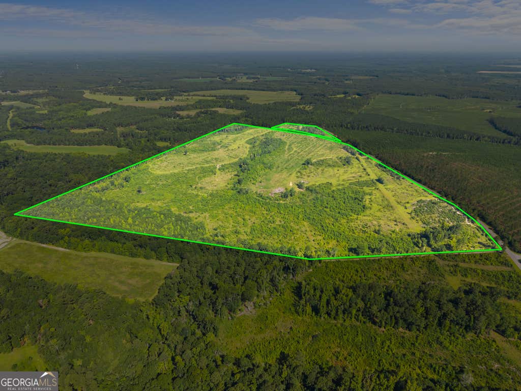 Photo of 3605 Perkins Hiltonia Road, Millen, GA 30442 (MLS # 10824806)
