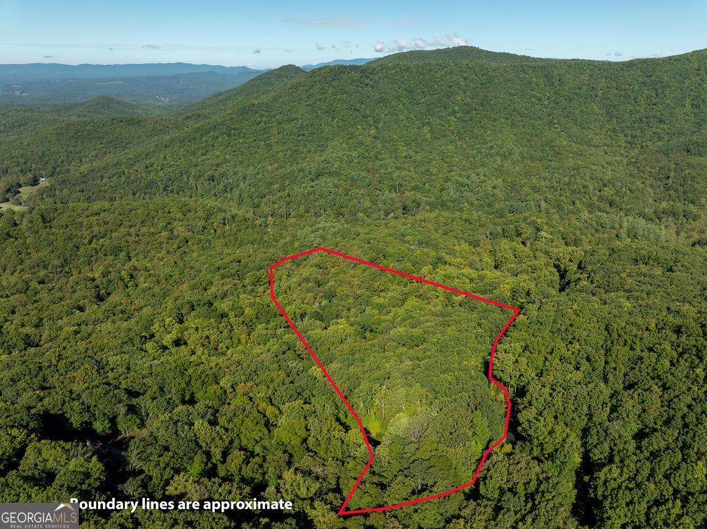 Photo of 4 Wilderness Way, Ellijay, GA 30536 (MLS # 10842906)