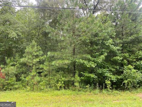 0 Holtzclaw RD Grantville GA 30220