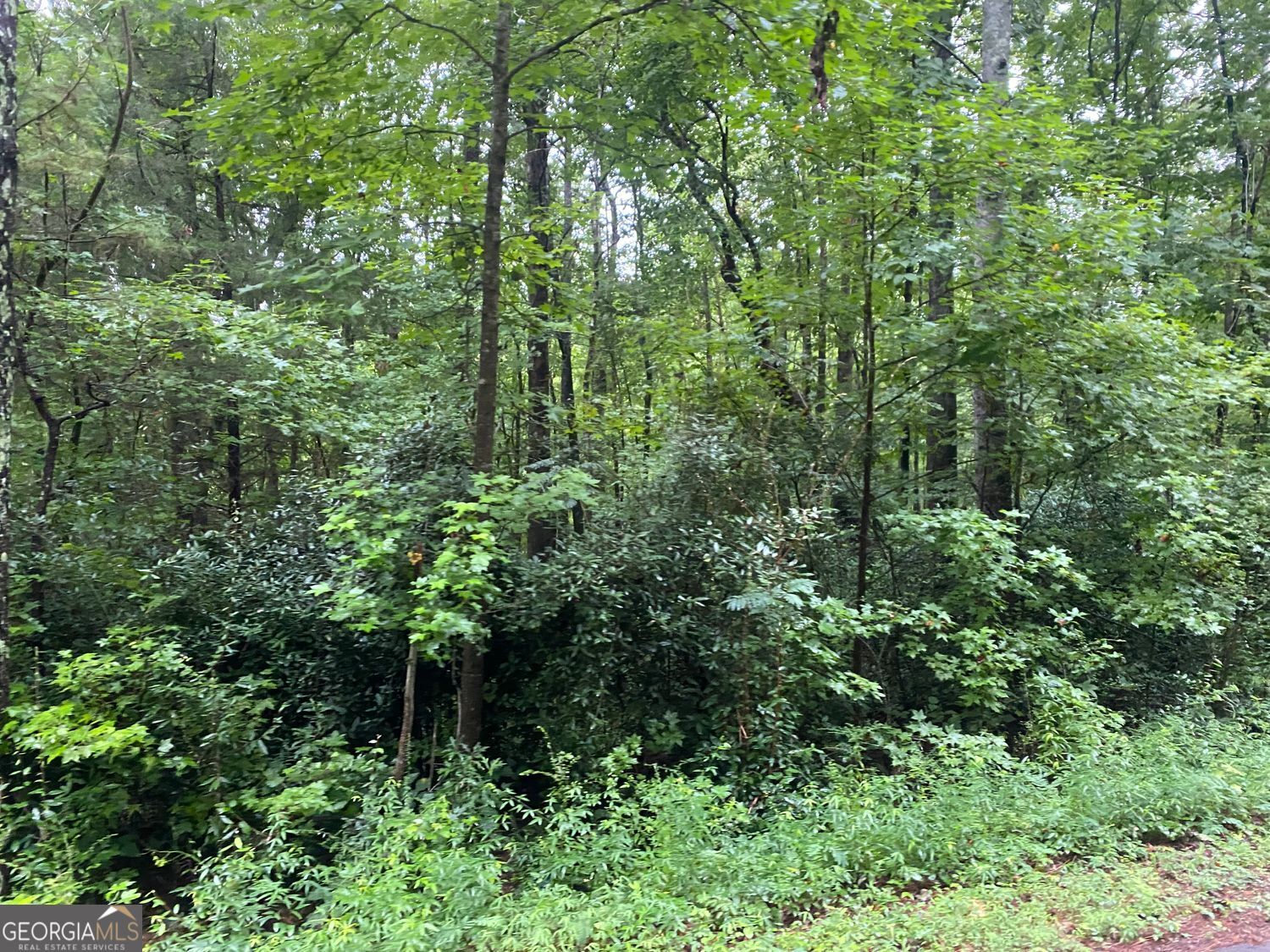 0 Holtzclaw RD