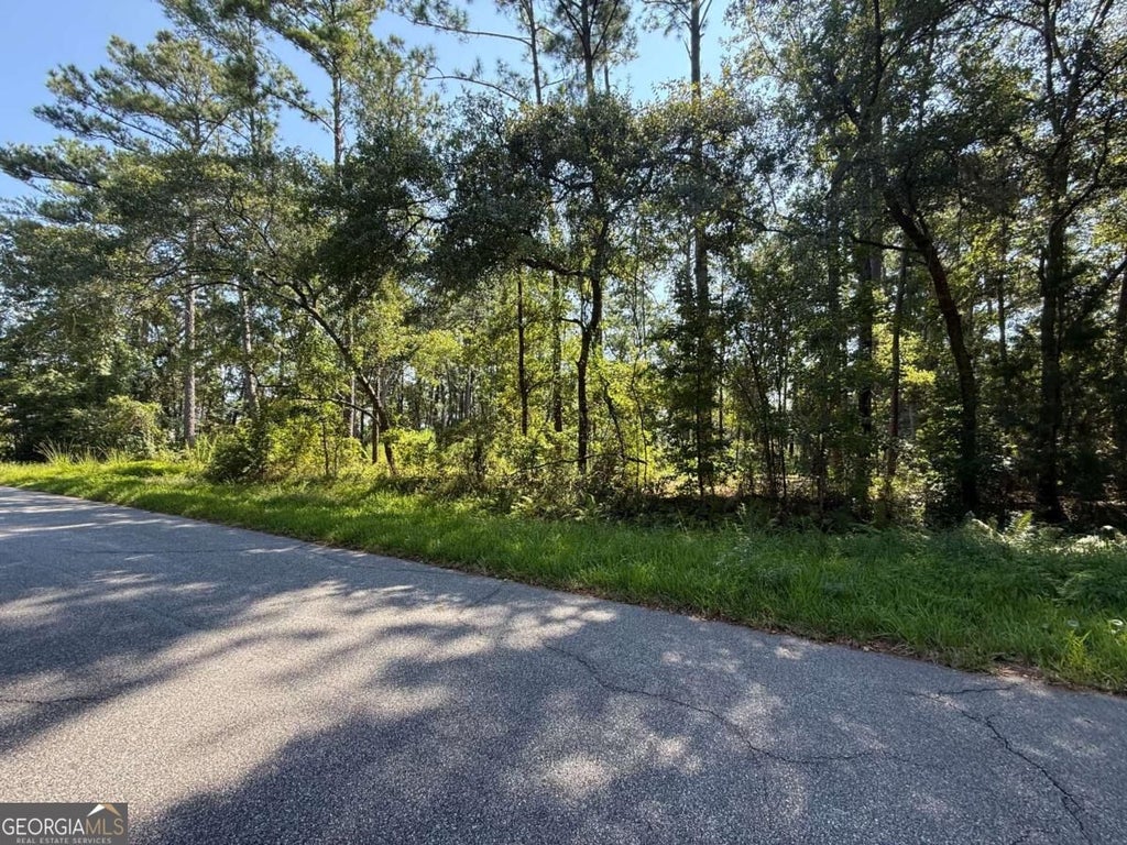 Photo of 129 Sutherland Drive, Brunswick, GA 31525 (MLS # 10848837)