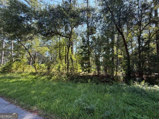 129 SUTHERLAND DR, BRUNSWICK, GA 31525 - Image 528458b7ea9c45fc76f382c181f5e9e7/274047698