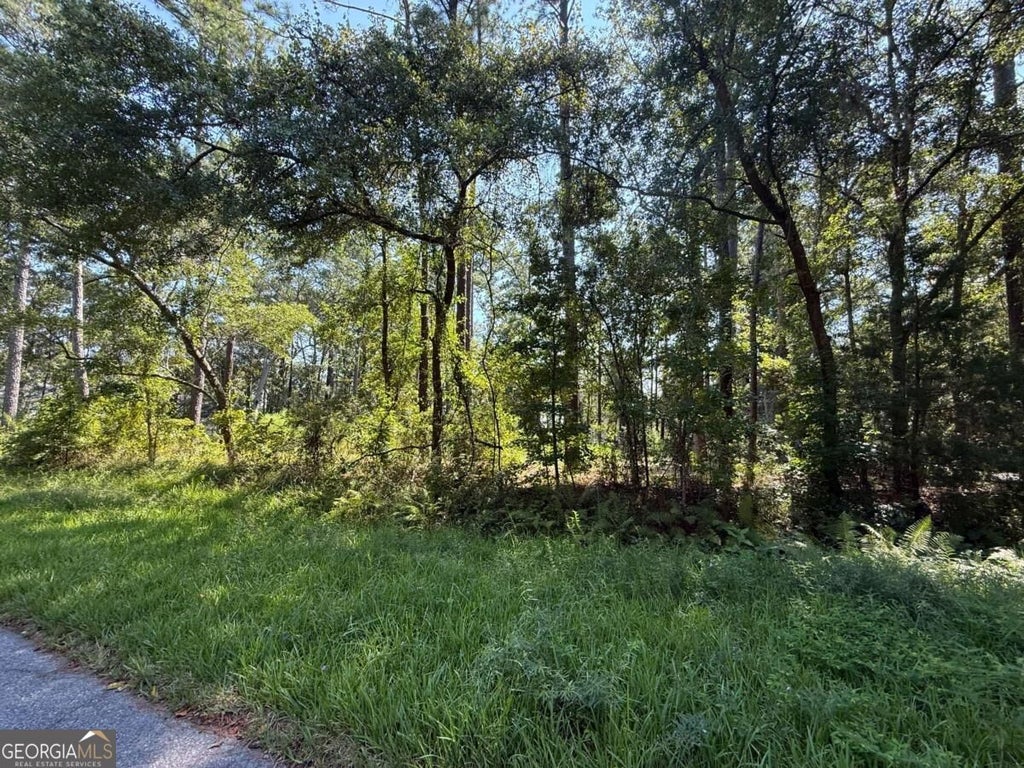Photo of 129 Sutherland Drive, Brunswick, GA 31525 (MLS # 10848837)