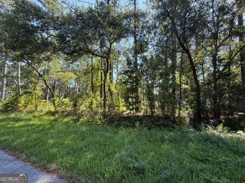 Photo of 129 Sutherland Drive, Brunswick, GA 31525 (MLS # 10848837)