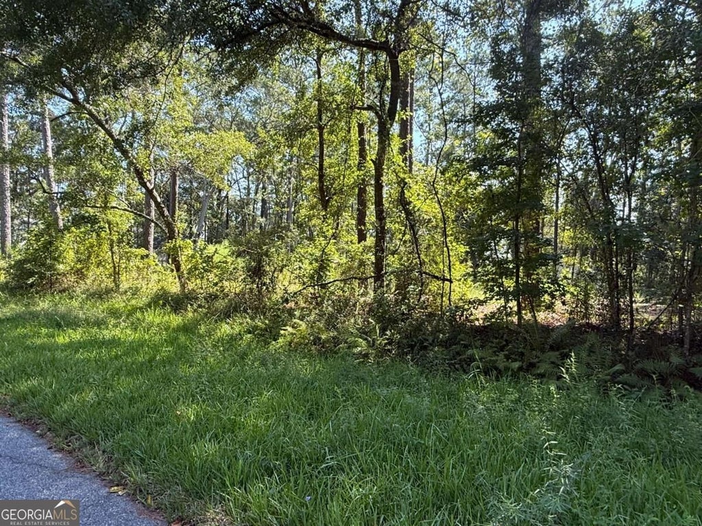 Photo of 129 Sutherland Drive, Brunswick, GA 31525 (MLS # 10848837)