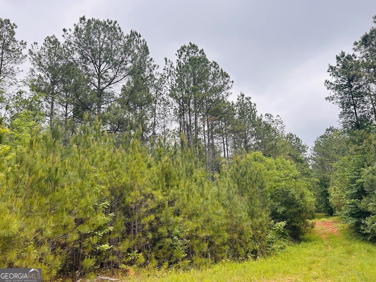 0 County Road 197