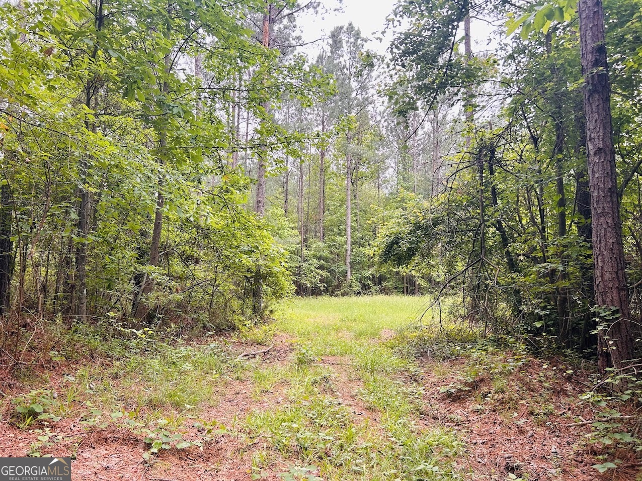0 County Road 197