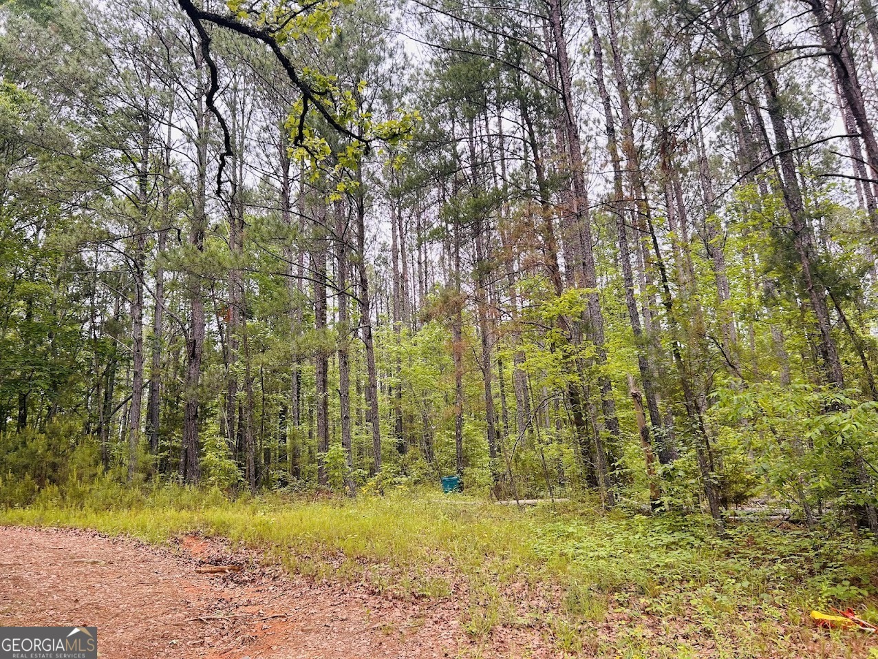 0 County Road 197