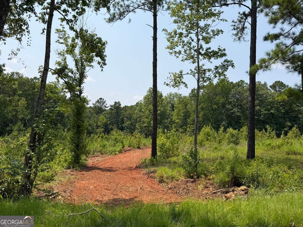 Photo of 704 Giles Road, Forsyth, GA 31029 (MLS # 10824576)