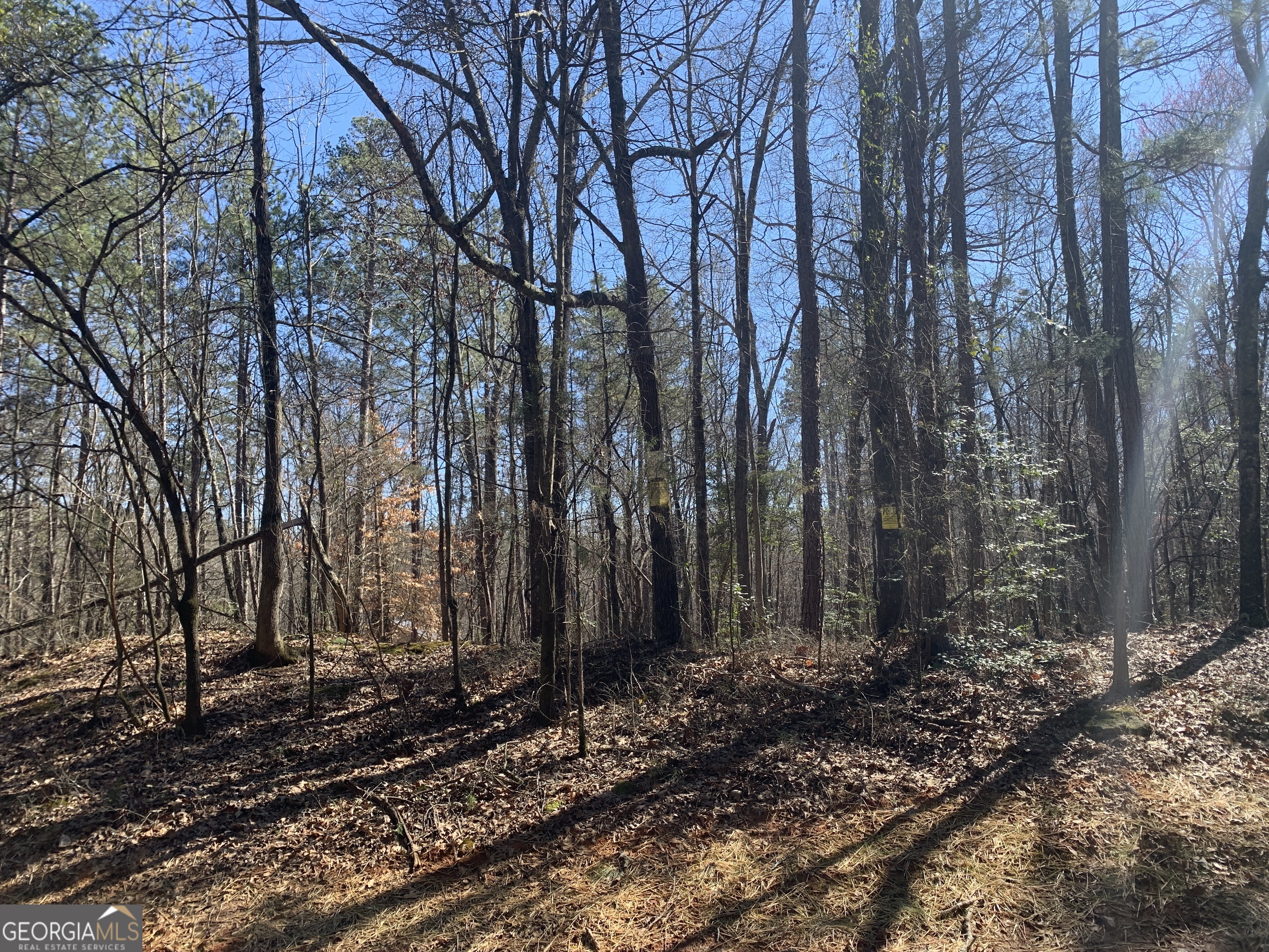 TRACT 2: 11.38 acre estate lot. Zoned A-2 and perfect for your new home. Located along Veterans Drive and convenient to Downtown Danielsville, Commerce and Athens. Over eleven acres of wooded privacy.