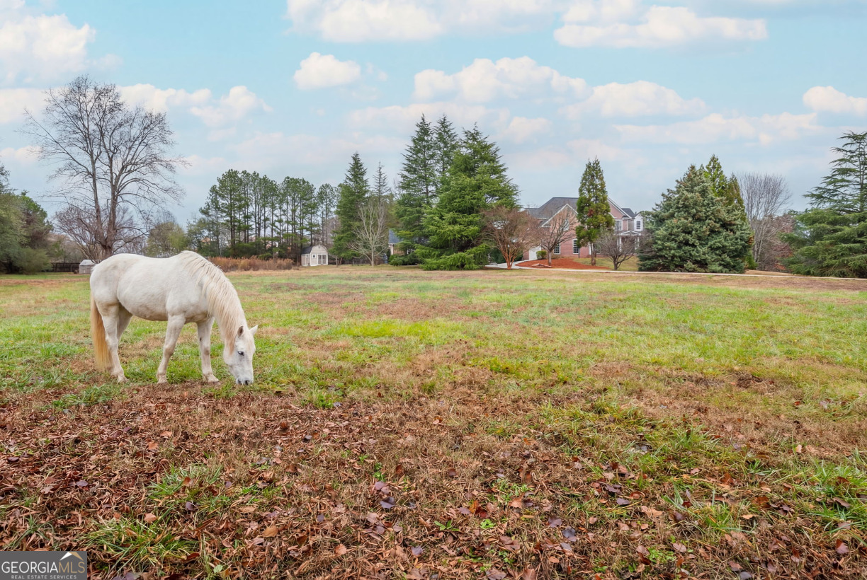 2540 Appaloosa TRL SW