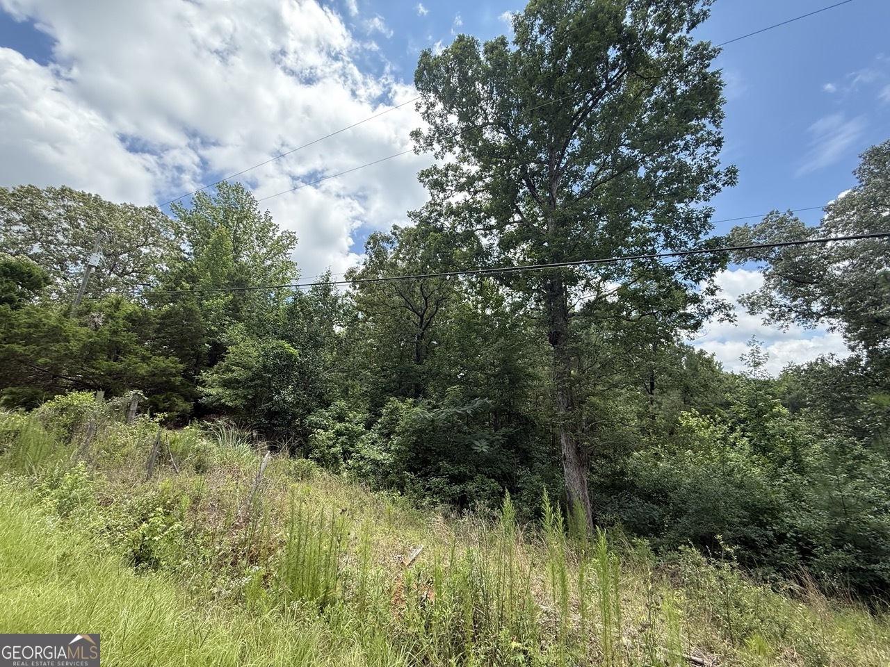 6678 Davis RD