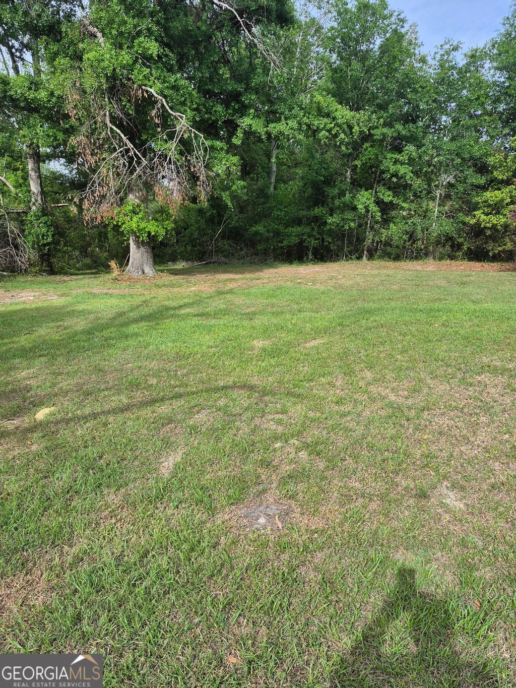 Photo of 267 Clark Avenue, Lyons, GA 30436 (MLS # 10730466)