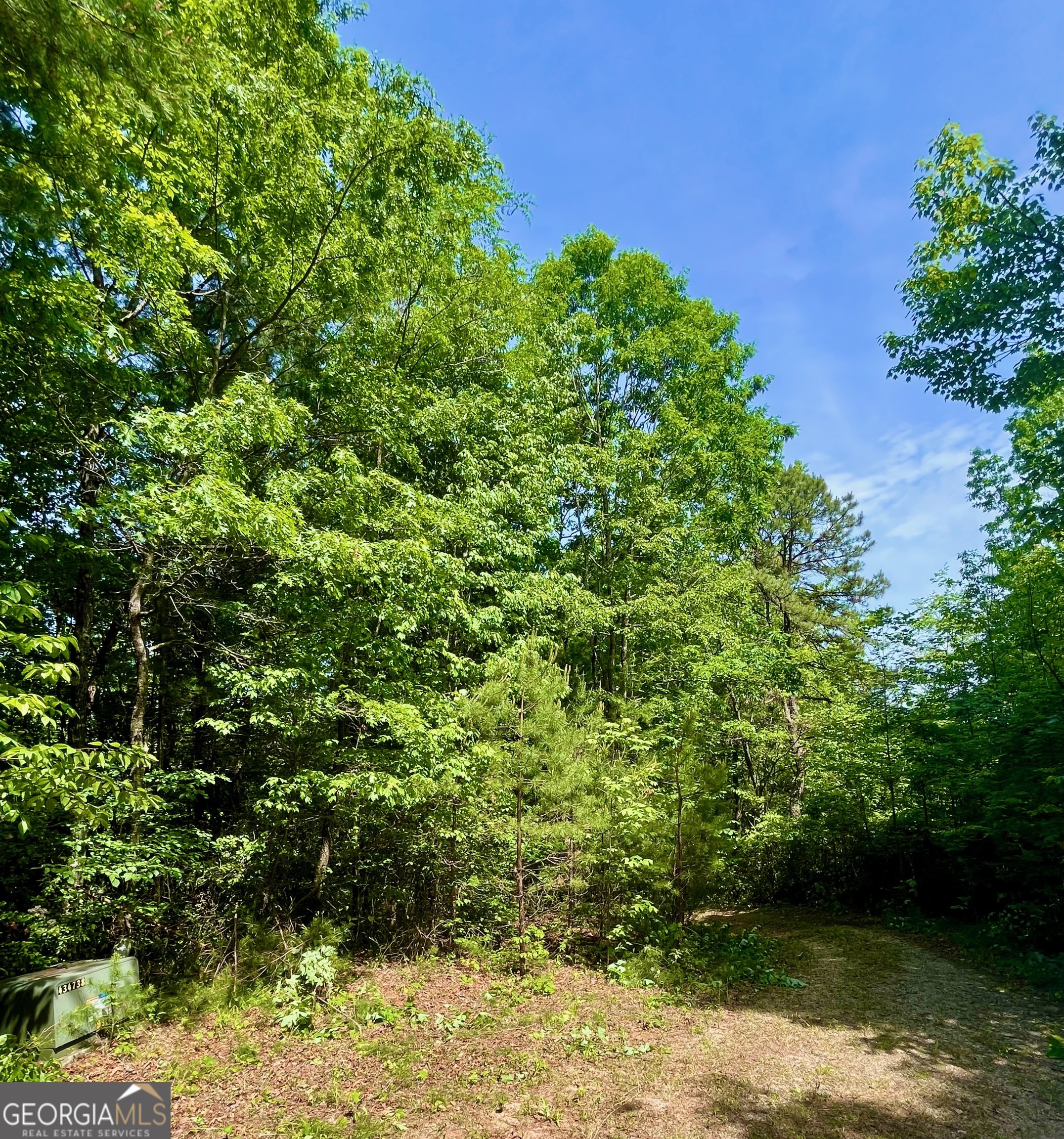 3.76 acres of very private land to build your dream home! Located in the Wynngate community with paved roads, but directly adjoining thousands of acres of National forest. The is a very good value!