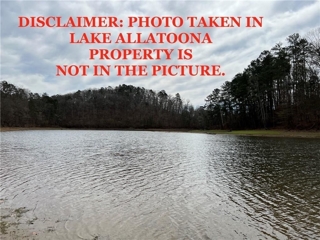 Photo of 16 Hawks Branch Lane #123, White, GA 30184 (MLS # 20140391)