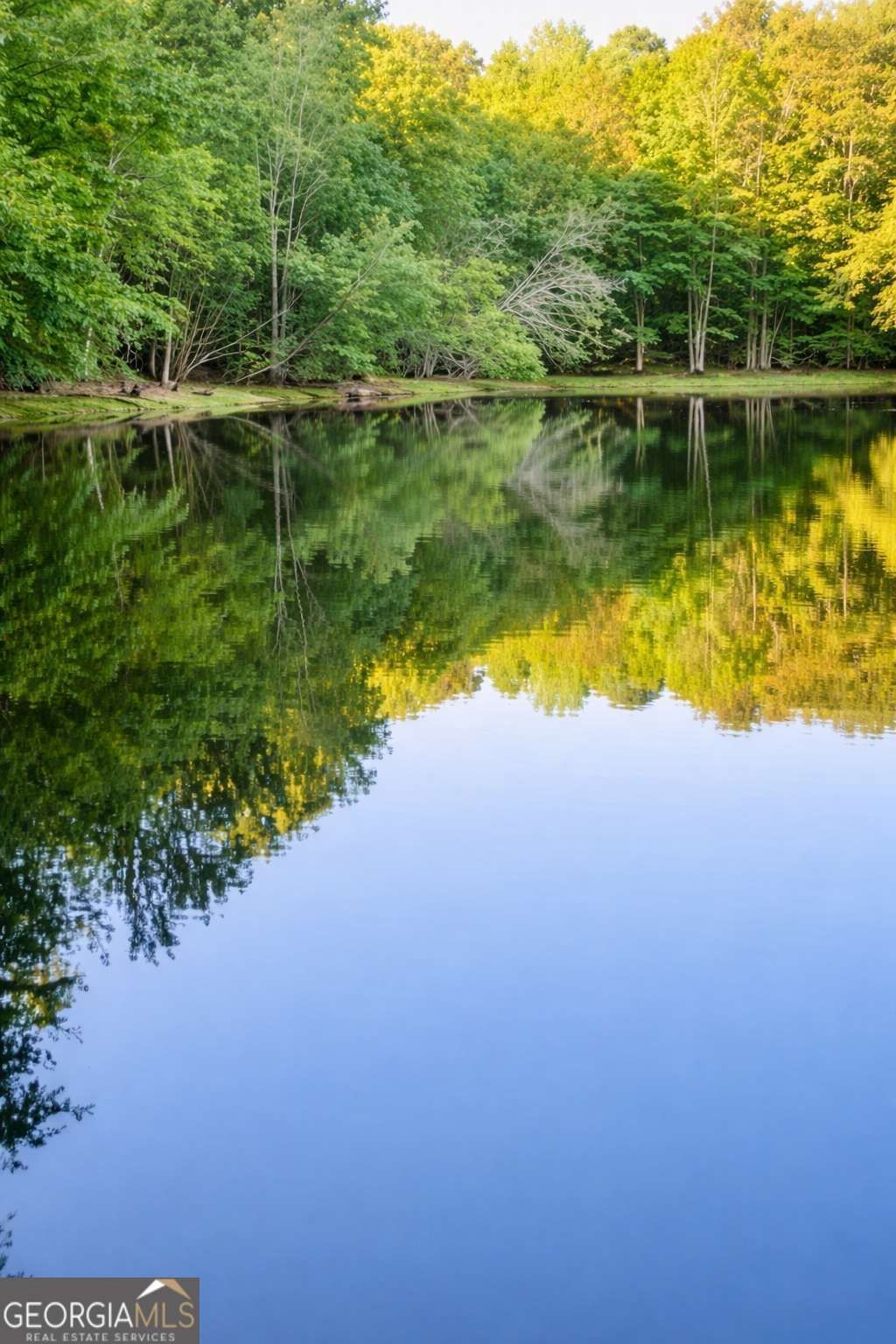 Photo of 0 Malone Road, Fayetteville, GA 30215 (MLS # 10693416)