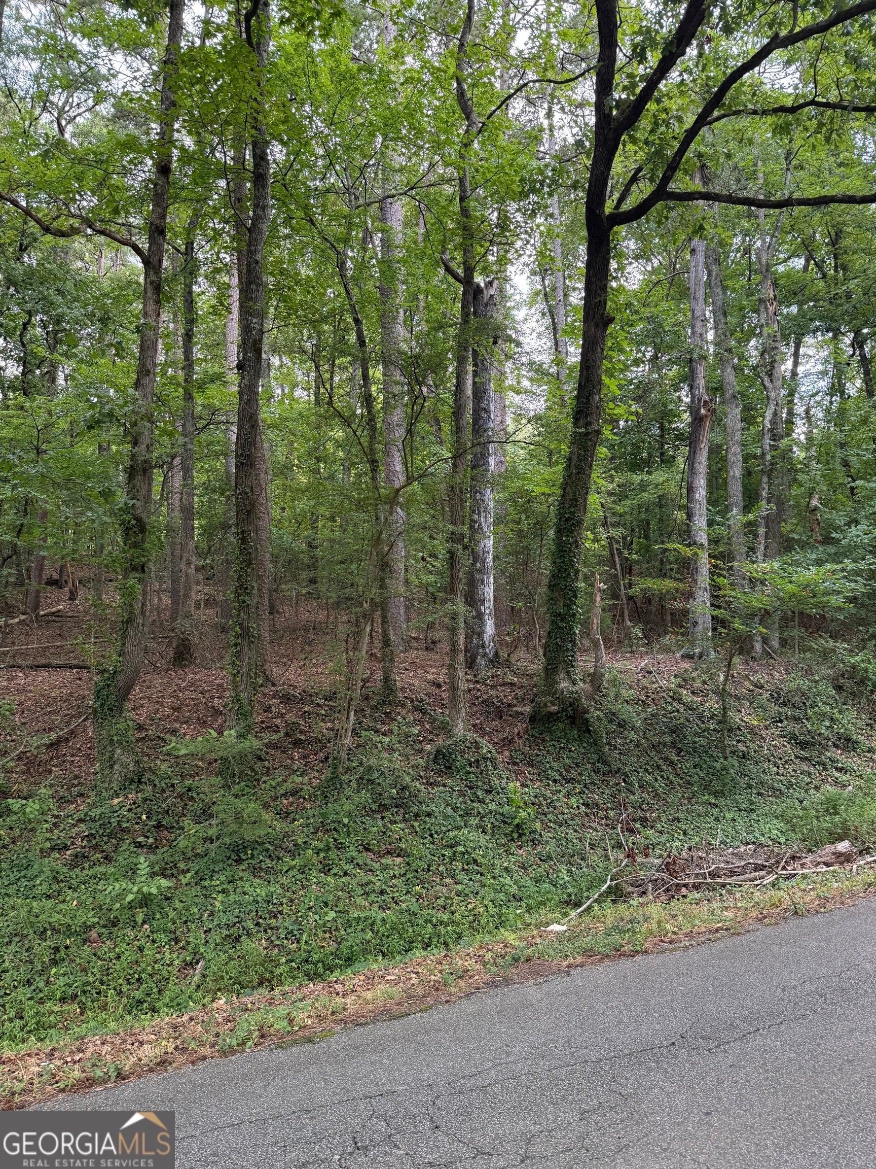 0 Callier Springs RD