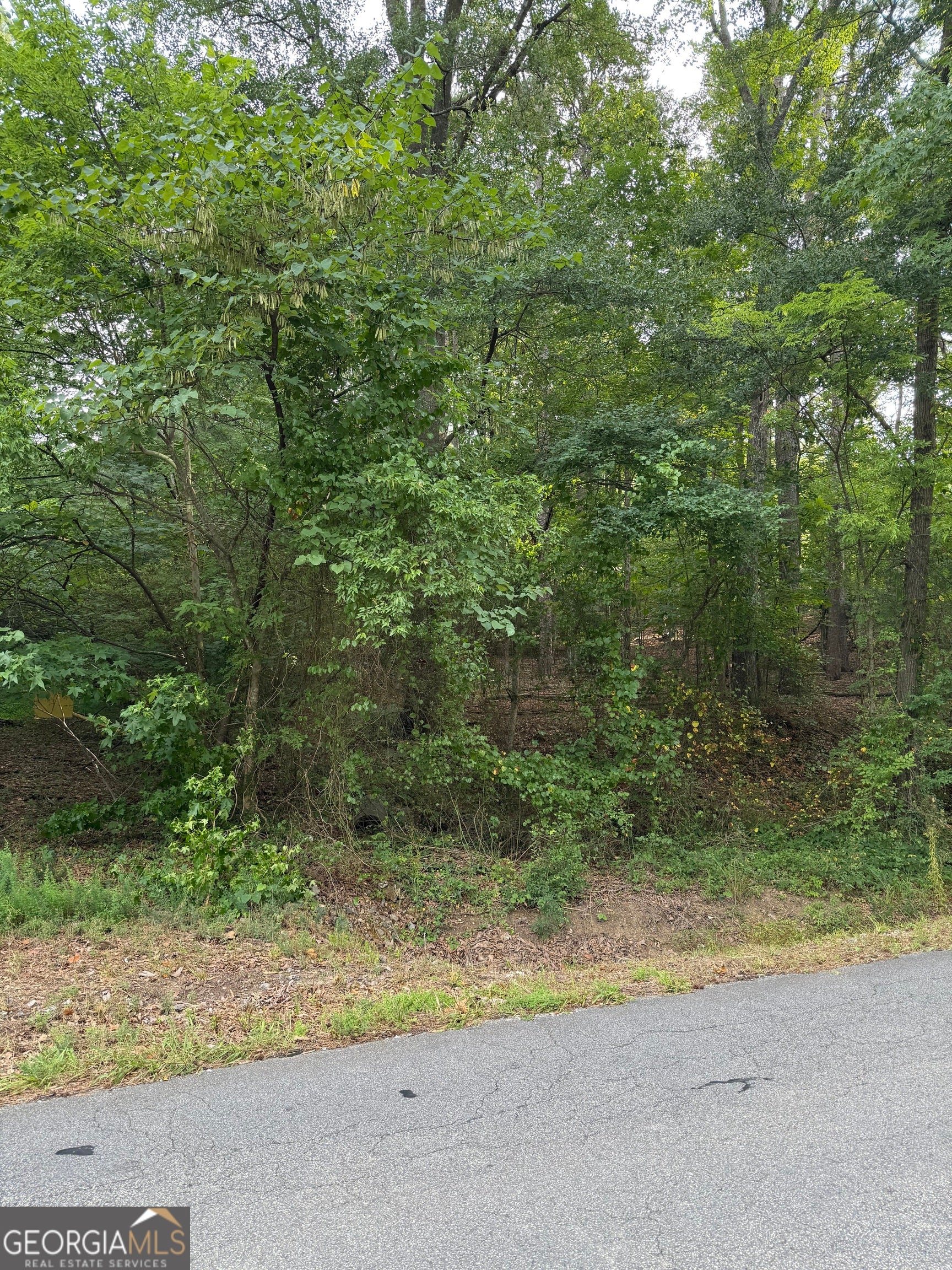 0 Callier Springs RD