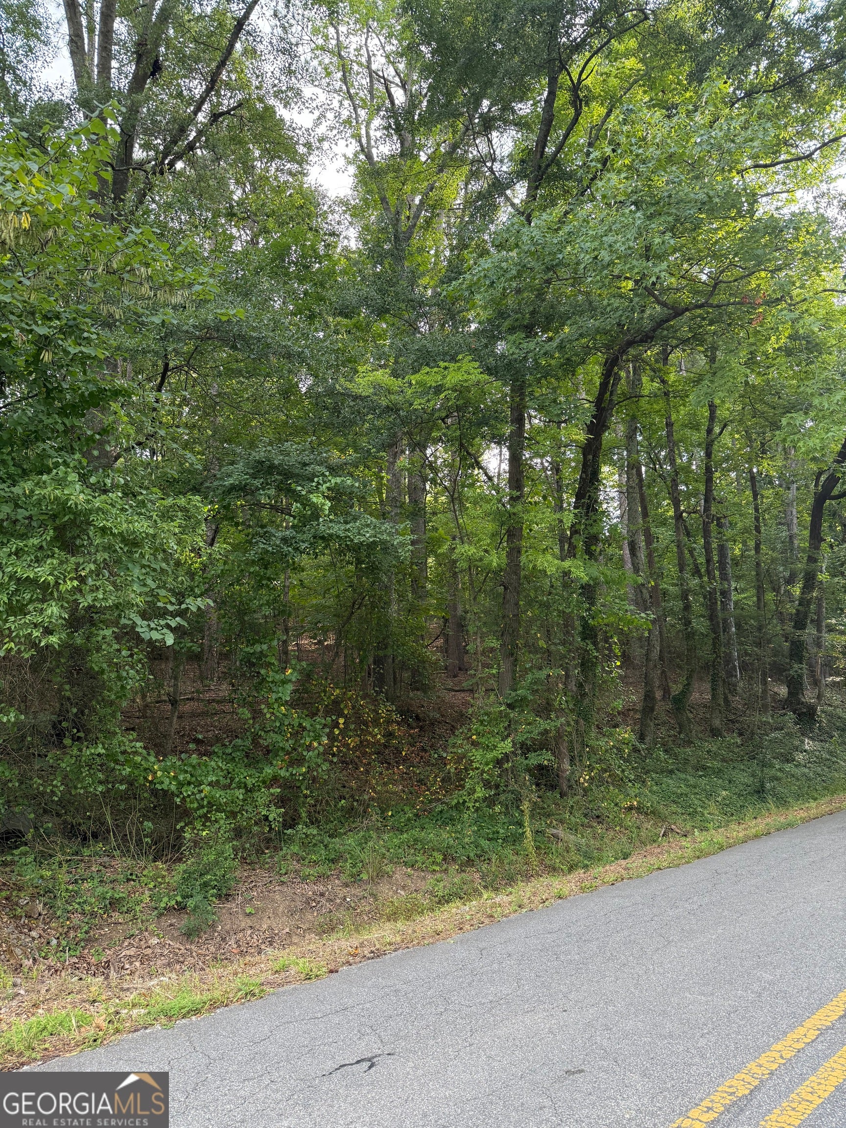 0 Callier Springs RD