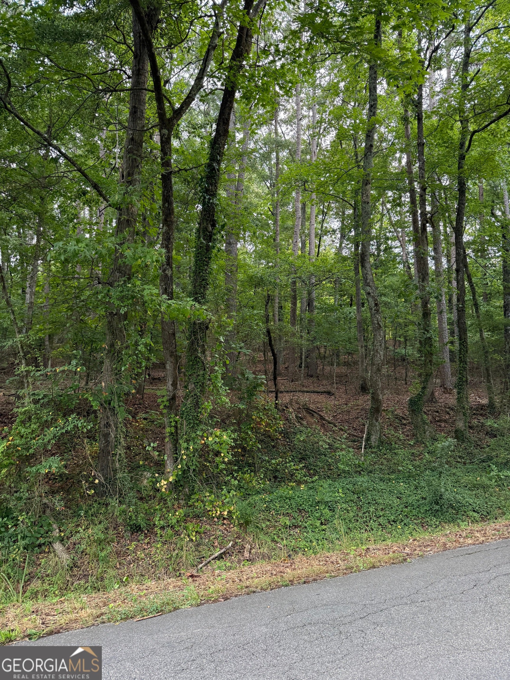 0 Callier Springs RD