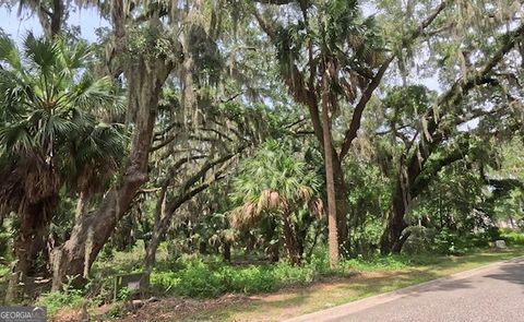 Photo of 919 Wagner Lane, St. Marys, GA 31558 (MLS # 10565453)