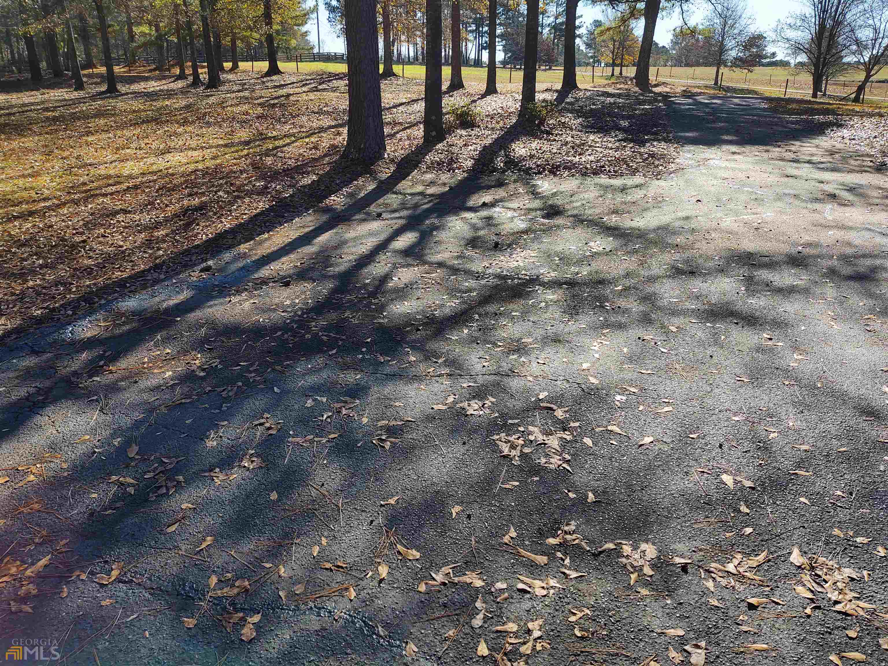 Senoia, Georgia 30276, United States, 1 Bedroom Bedrooms, ,1 BathroomBathrooms,Residential,Active,248133