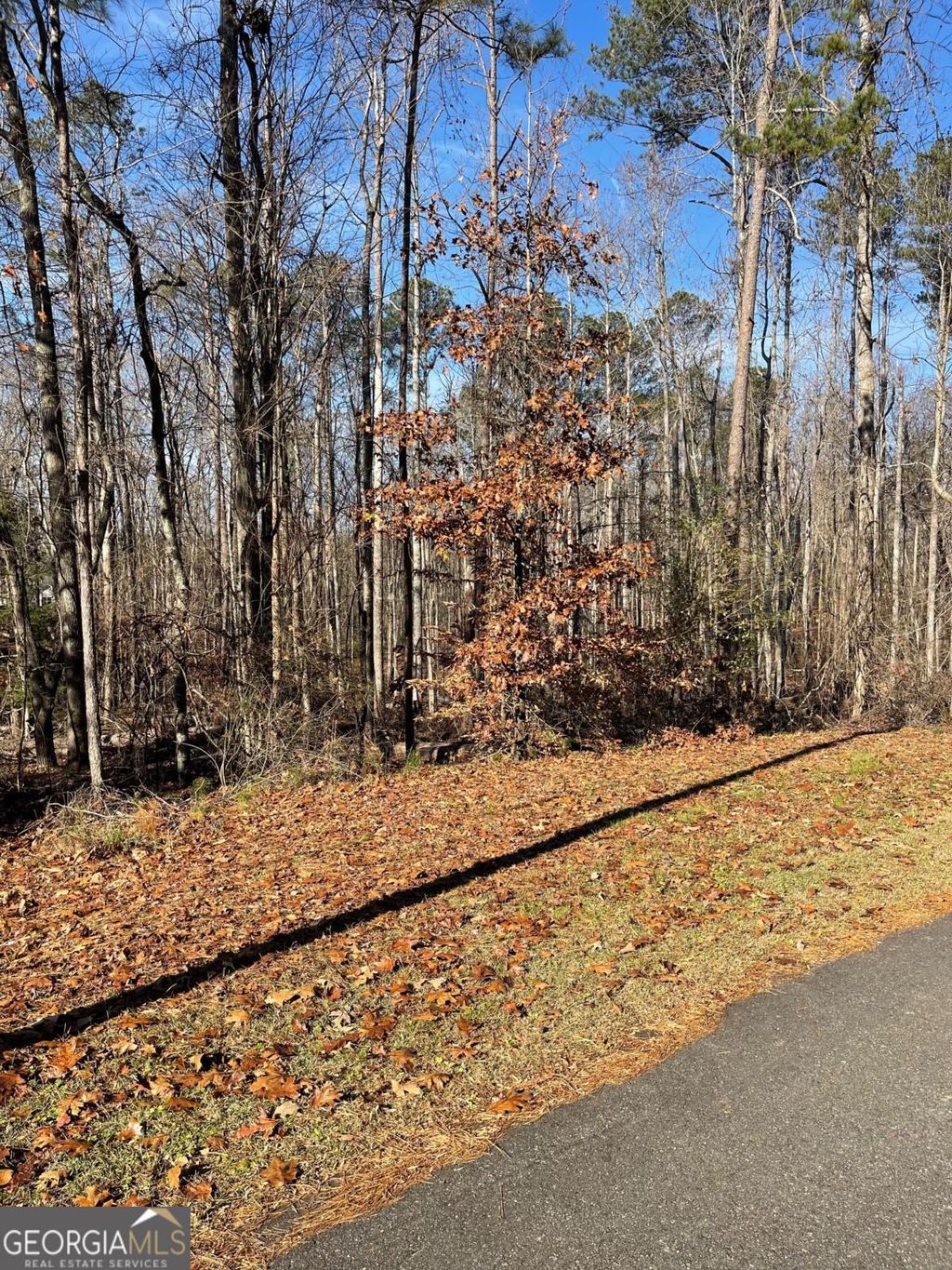 Photo of 3 Bow Trail, Woodstock, GA 30188 (MLS # 10655909)