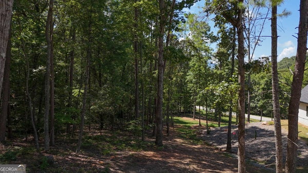 0 SAUTEE RIDGE ROAD, CLARKESVILLE, GA 30523 - Image 53227b32825fdd7773db3b4e4db5a4f4/4277044887
