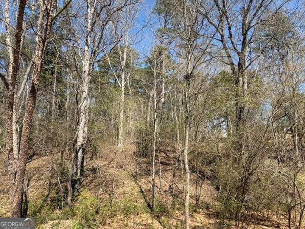 Photo of LOT 0 Jack Pittman Road, Dacula, GA 30019 (MLS # 10740960)